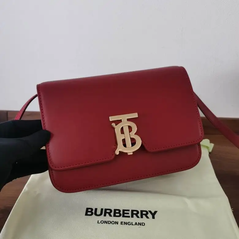 Burberry 21x16x6cm HQ 2