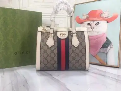 547551 24X20X10cm DF